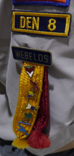 Webelos (4th and 5th grade Cub Scouts) earn activity badges worn on their Webelos colors.
